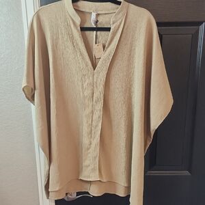 Glam Tan Dolman Sleeve Blouse with Mandarin Collar